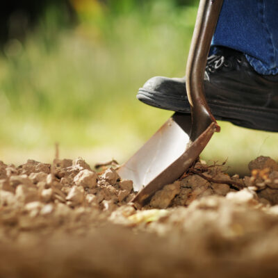 Image for choice number 5